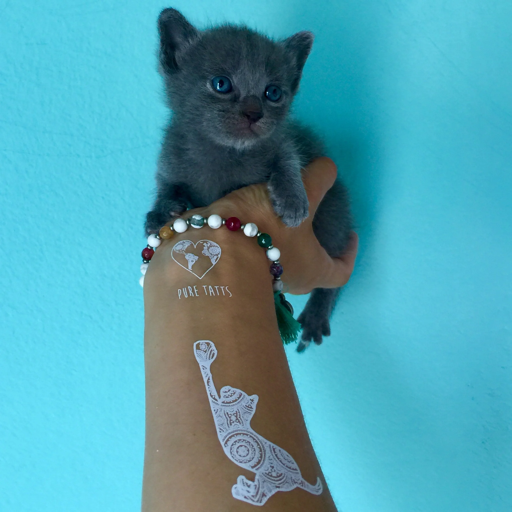 Animal rescue, Yoga Girl, Temporary Tattoos, White Tattoo, Tattoo